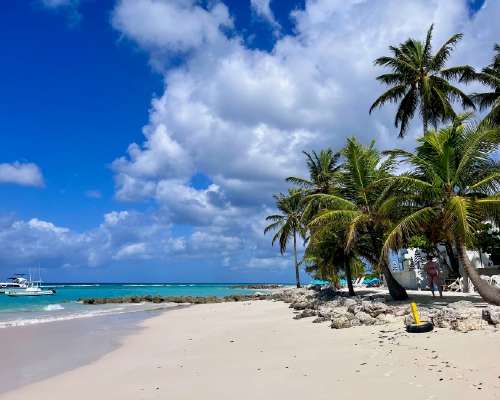 Barbados – Kaikki mitä sinun pitää tietää par...