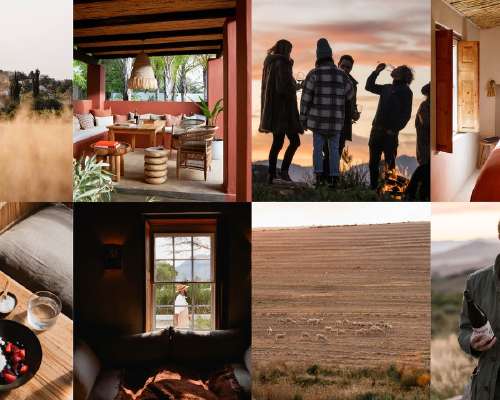 A Guide to the Swartland, South Africa’s Most...