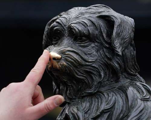 Schottland: In Edinburgh rührt eine Hunde-Sta...