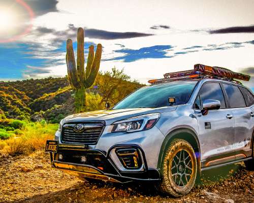 Overlanding with Forester in the USA