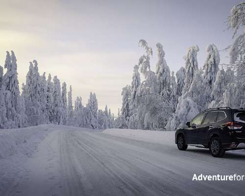 Subaru Forester, made to the winter