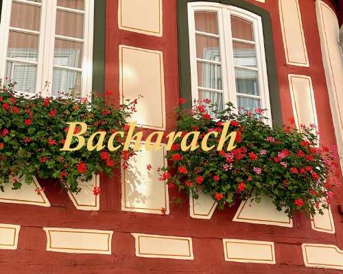 Pyöräilyä Reinillä: Bad Salzig – Bacharach