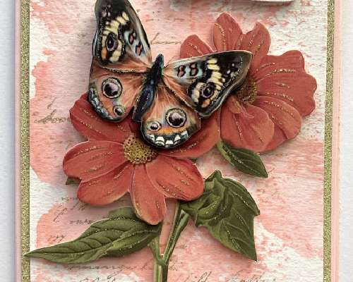 Onnittelukortteja - 3D perhosia