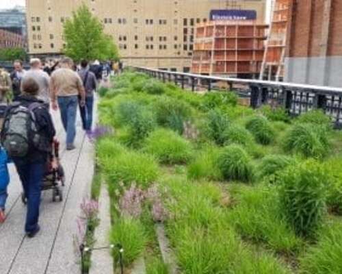 High Line on kävelypuisto katujen yläpuolella...