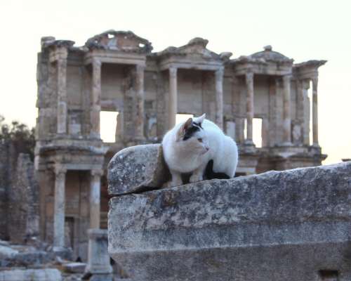 Road trip Turkissa osa 5: Efesos, Izmir ja pa...