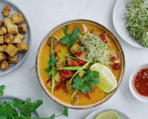 Laksa curry – malesialainen nuudelikeitto