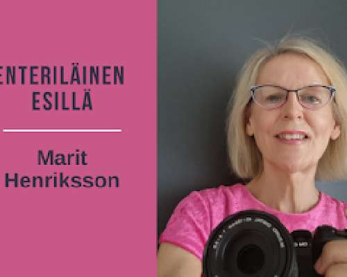 Enteriläinen esillä: Marit Henriksson