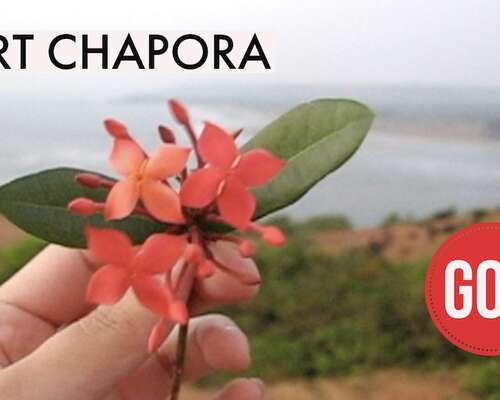 Chapora Fort -linnoitus Pohjois-Goassa tunnet...