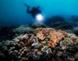 Baselworld 2019: Oris Great Barrier Reef Limi...