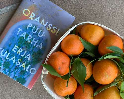Erja Tulasalo: Oranssi puutarha