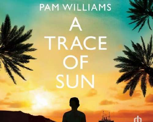 Pam Williams: A Trace of Sun