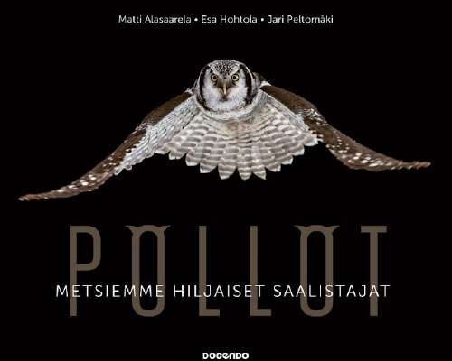 Loistava tietokirja pöllöistä: Pöllöt - Metsi...