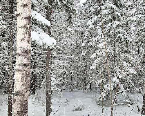 Suomen ilmasto, nastat ja kitkat