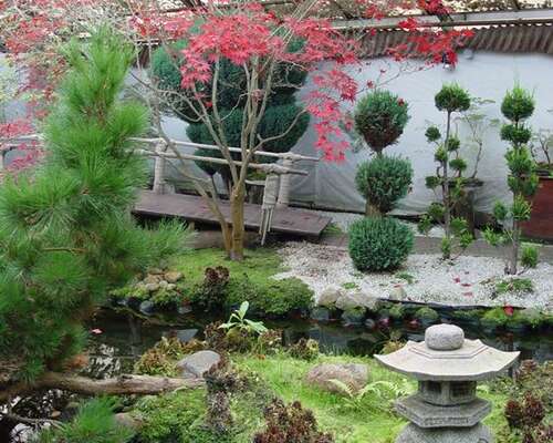 Japanilainen puutarha — vierailu Viherpajalla