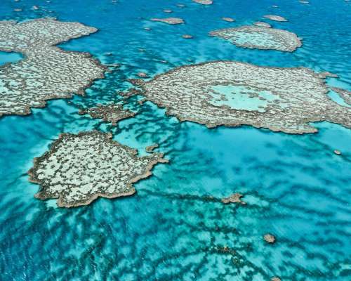 Climate Change Comes for the Great Barrier Reef