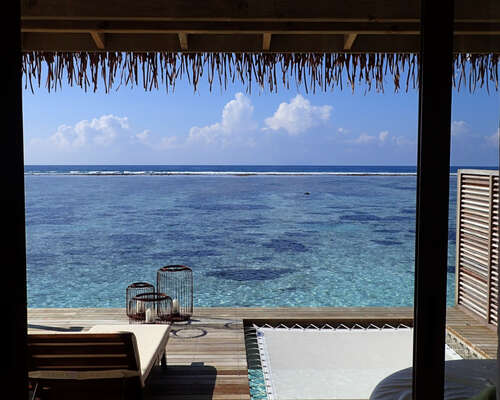 Toisen kerran Malediiveille – uimassa haiden ...