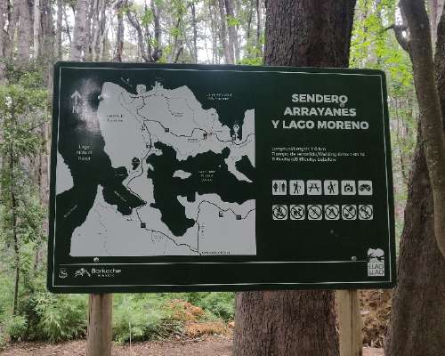 Patikointia Sendero Arrayanes y Lago Moreno, ...