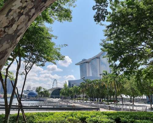 Ruusut ja risut: singaporessa asumisen parhaa...