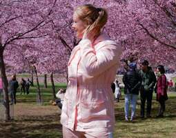 Lasten matkassa: Roihuvuoren kirsikkapuisto