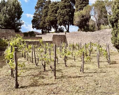 Oenogarum eli viinikastike antiikin Roomasta