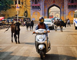 Jaipur, Intia – Syö, Shoppaile & Rakastu
