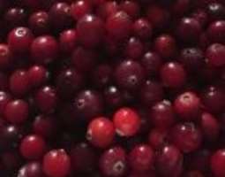 Cranberries are the world’s healthiest food