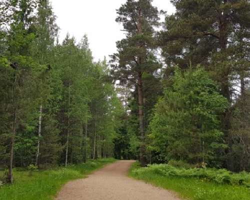 Haltiala nature trail is at the heart of Hels...