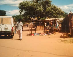 Elämää Katondwen kylässä, Sambiassa