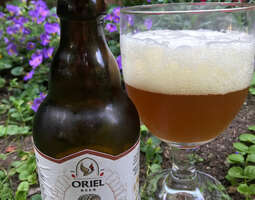 Oriel Beer / HopSaSam Țuiple'Up Aged In Tuica...