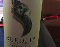 Seedlip: Alkoholiton gini?