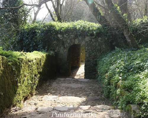 Puutarhavierailulla: Castelo dos Mouros, Sint...