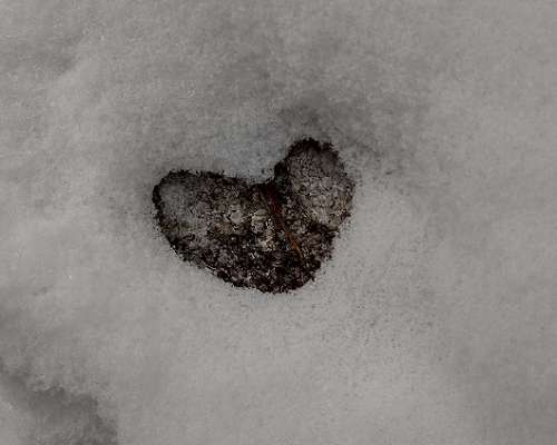 Rakkautta lumihangessa