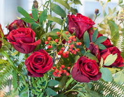 Kukkasidontaa kotona ja kahden euron ruusut