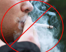 the safety features of tobacco products are r...