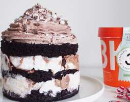Chocolate mint ice cream cake