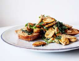 Easy Lunch – Creamy Mushrooms and Spinach on ...
