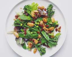 Summer Salad with Roasted Butter Beans and a ...