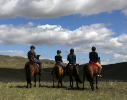 Trans-Siperia 8: Uskomattoman kaunis Mongolia