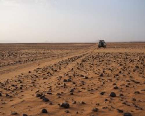 Fadan keitaan kautta syvemmälle Saharaan