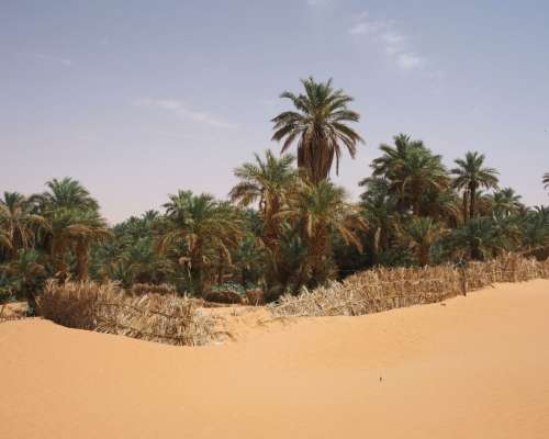 Talan keidas ja Petit Tassili Algerian Saharassa