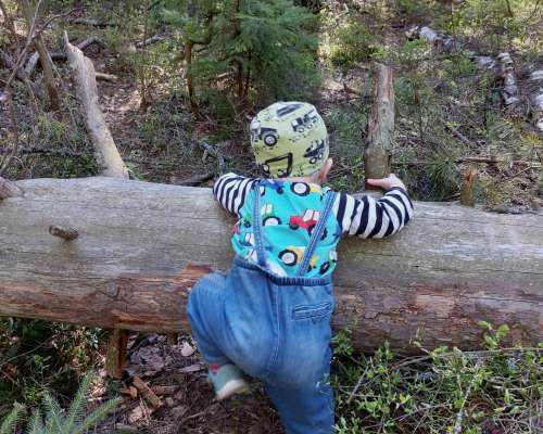 Lasten kanssa metsässä – miten retkeilijöitä ...