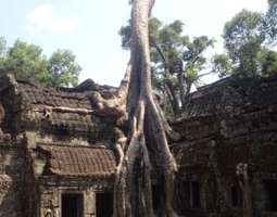 Mennyttä mystiikkaa – Angkor
