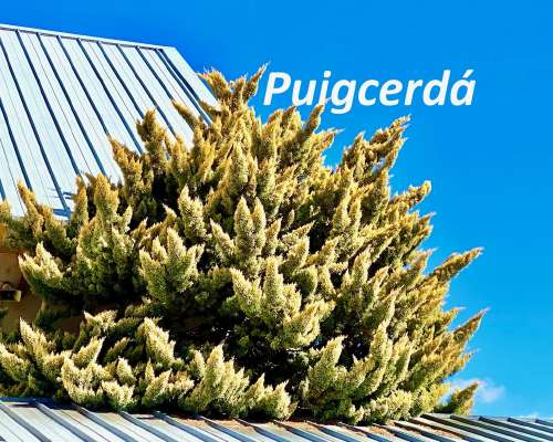 Puigcerda – Espanjasta kotiin osa 4