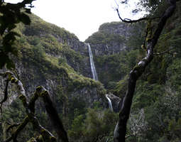 Madeiran levadat: Riscon putous ja 25 lähdettä