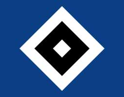 Hamburger SV:n pelaamisesta