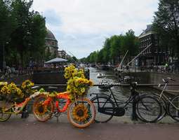 Amsterdam Photodiary + eeppinen junaseikkailu