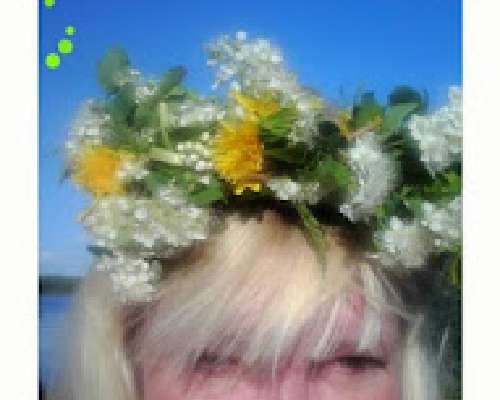 Kukkasin ja oksin Pielisjoen rantamilla