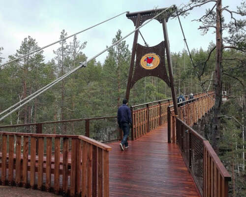 Repoveden uusi riippusilta - Hanging bridge i...