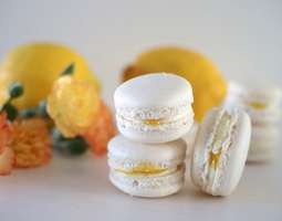 Sitruuna-Vanilja Macarons & Macaron-kurssit