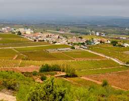 Viinitilavierailu Penedèsissä – jälleen kerra...